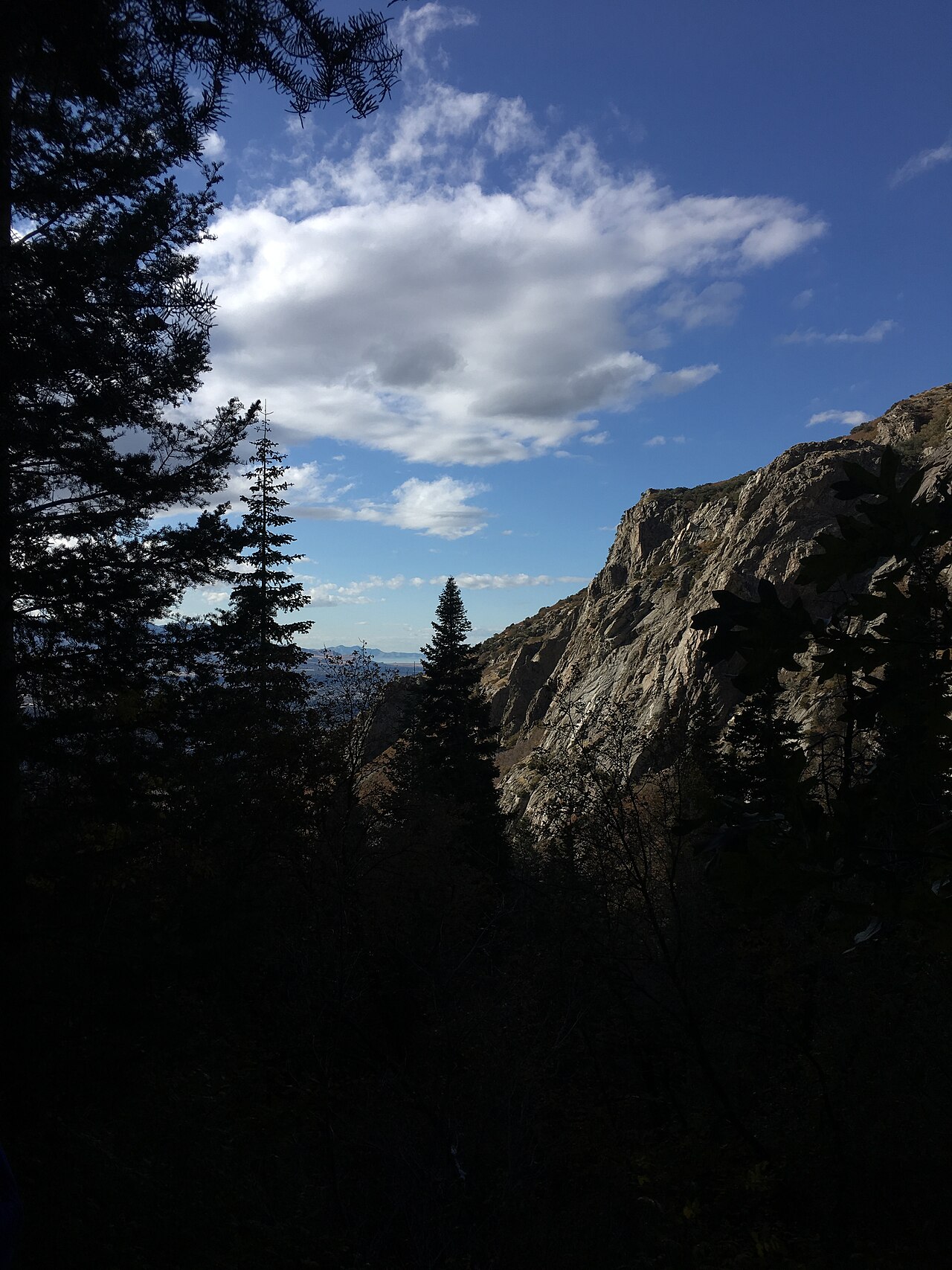 Shadowed granite walls of Bells Canyon under an evening sky