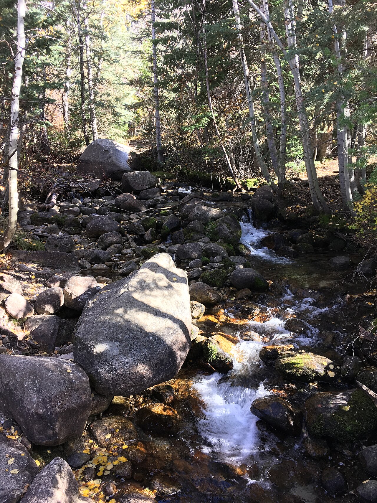 Whitewater cascading between granite boulders on Bells Canyon Creek