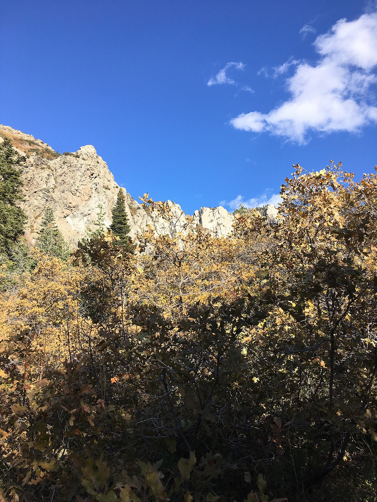 Granite cliffs rising above golden autumn foliage in Bells Canyon